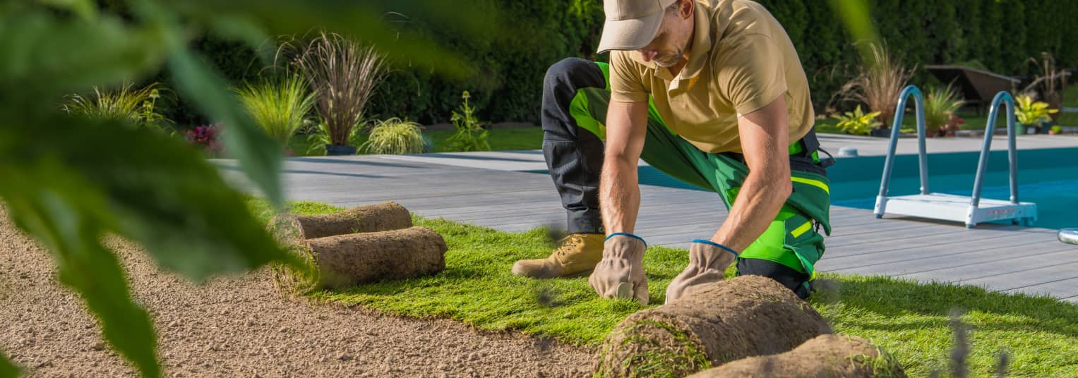 Landscaping websites Landscaping websites Southampton